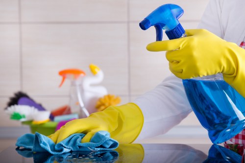 Upholstery and carpet stain removal services in Berrylands
