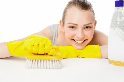 Professional carpet cleaner working safely in a room