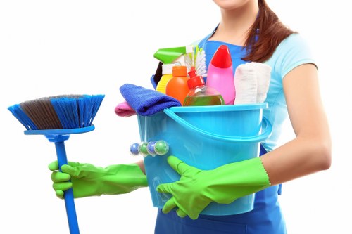 Stain removal and fabric care for sofas in Berrylands