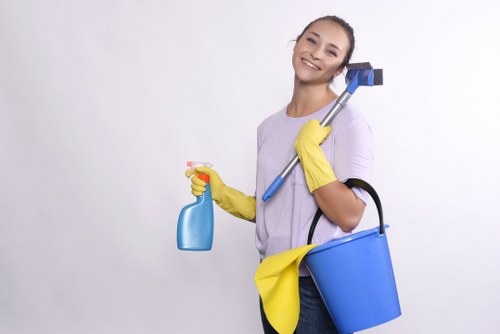 Professional carpet cleaning equipment prepared for a Berrylands home