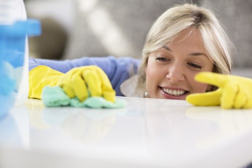 Hidden pet stain detection and treatment in a Berrylands home