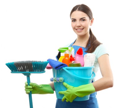 Carpet cleaning quote for a busy family home in Berrylands
