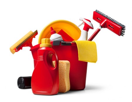 Berrylands rug care setup showing different rug types and cleaning tools